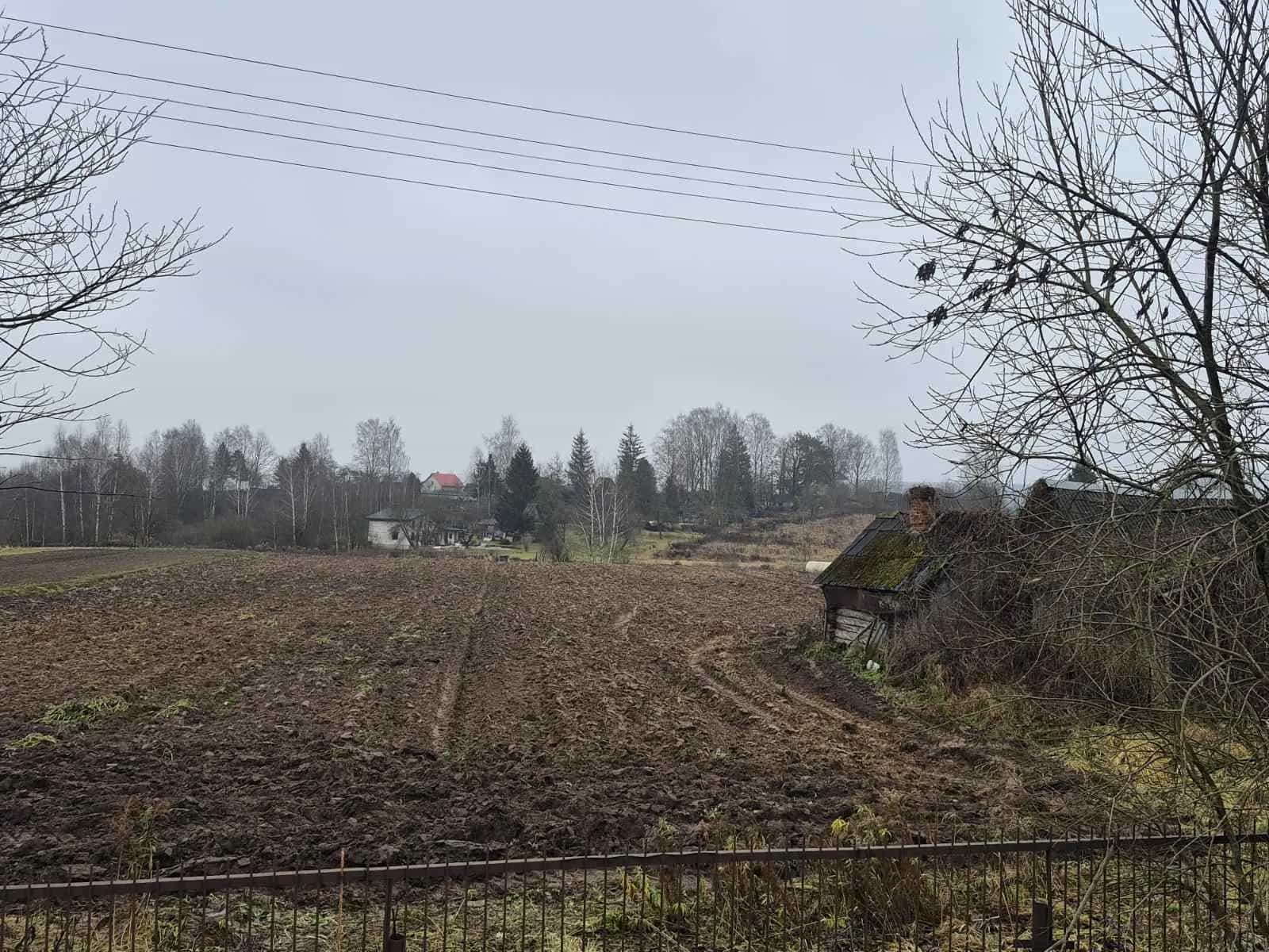 Беларусь, Витебский район, Бабиничский сельсовет, агрогородок Ольгово, Центральная улица, 55, фото 10