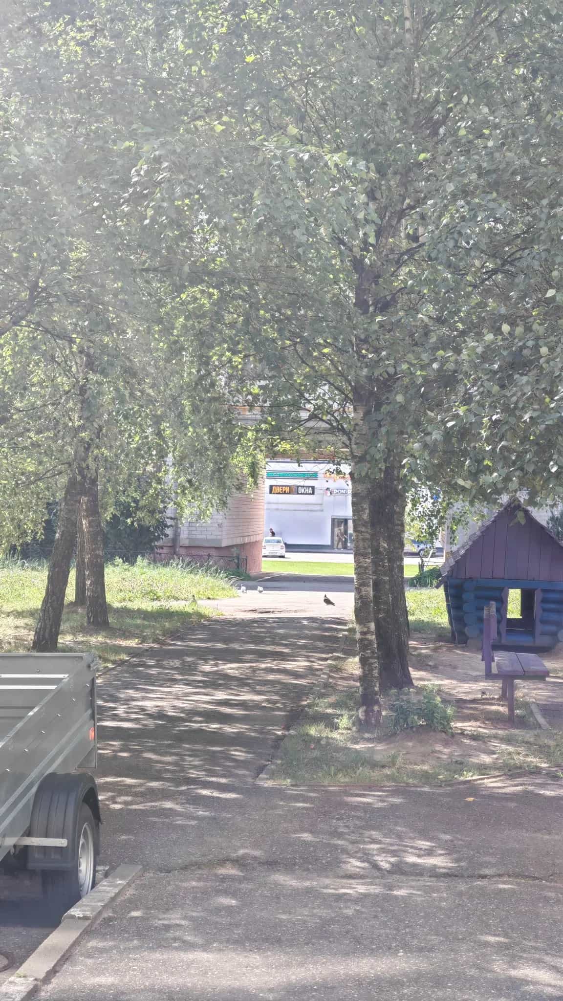 Беларусь, Витебская область, Новополоцк, Молодёжная улица, 207к3, фото 20