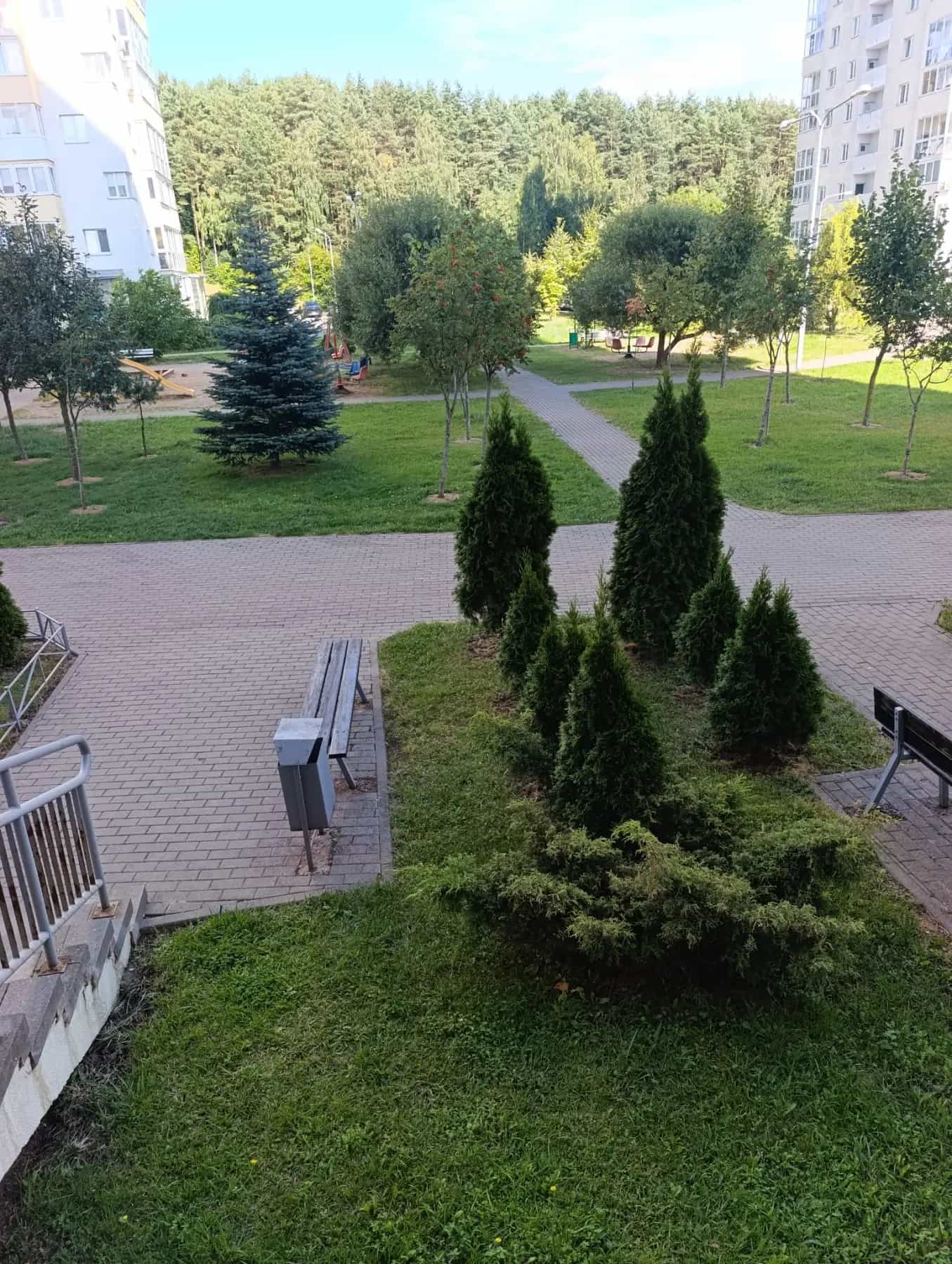 Беларусь, Минский район, Боровлянский сельсовет, деревня Копище, улица Лопатина, 15, фото 18