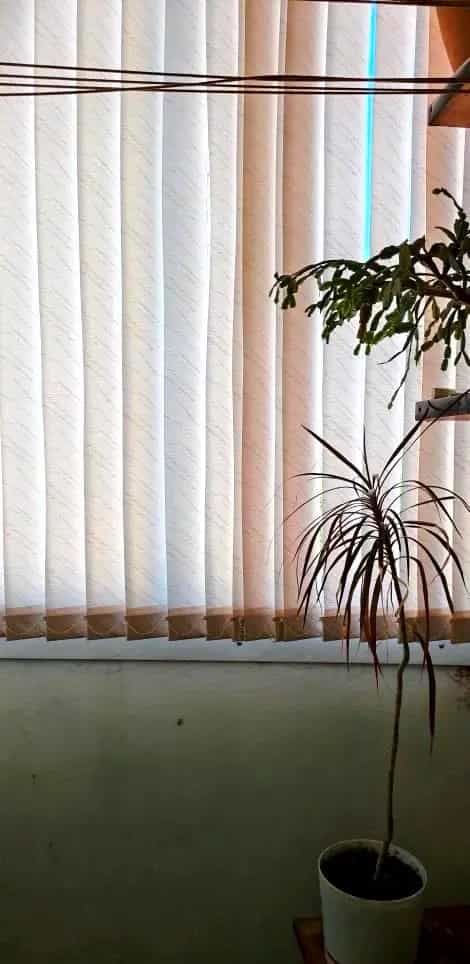 Беларусь, Гомель, улица Т.С. Бородина, 8, фото 4