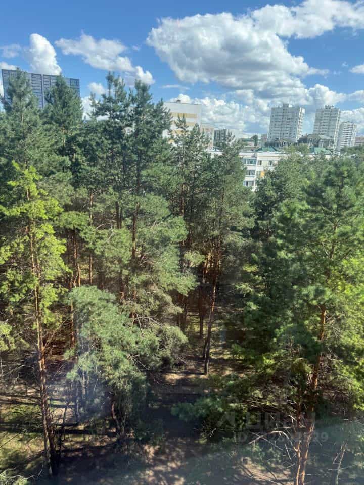 Россия, Республика Татарстан (Татарстан), Набережные Челны, 12-й комплекс, 34, фото 24