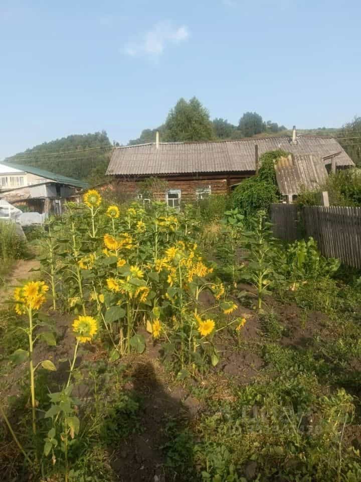 Россия, Республика Алтай, Майминский район, село Майма, Алгаирская улица, 3