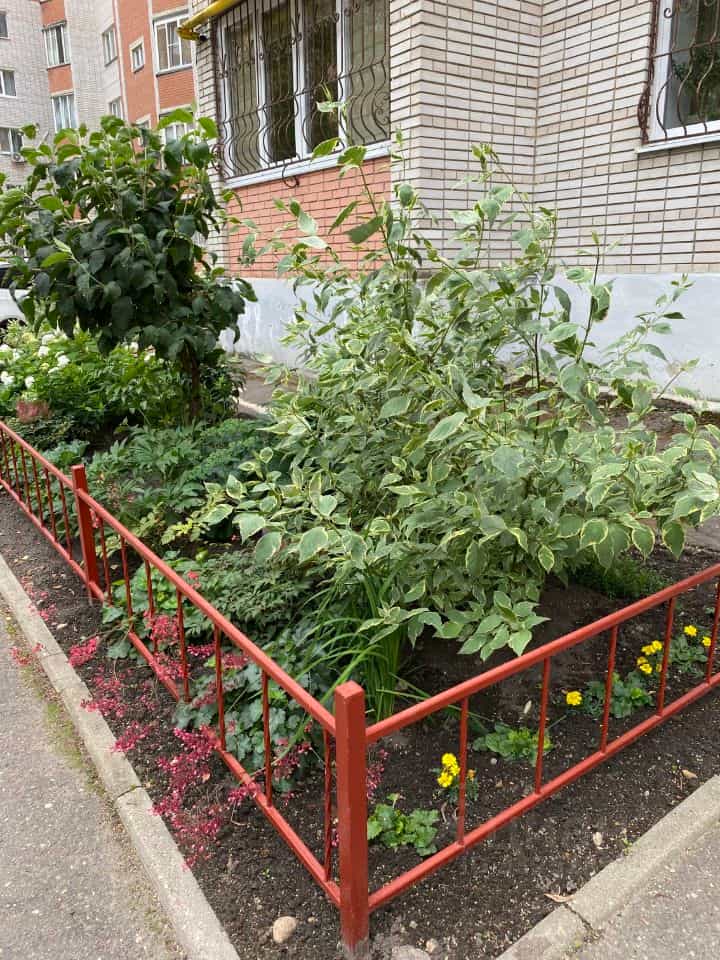Россия, Смоленск, улица 25 Сентября, 40А, фото 5
