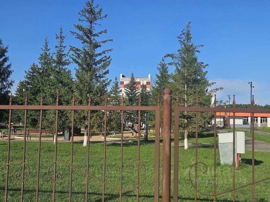 Россия, Республика Татарстан (Татарстан), Тукаевский район, Азьмушкинское сельское поселение, посёлок Новый, Молодёжная улица, 28, фото 29