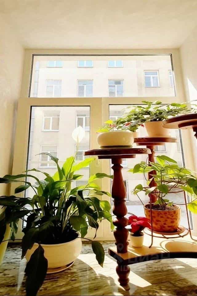 Россия, Санкт-Петербург, 10-я Красноармейская улица, 14, фото 16