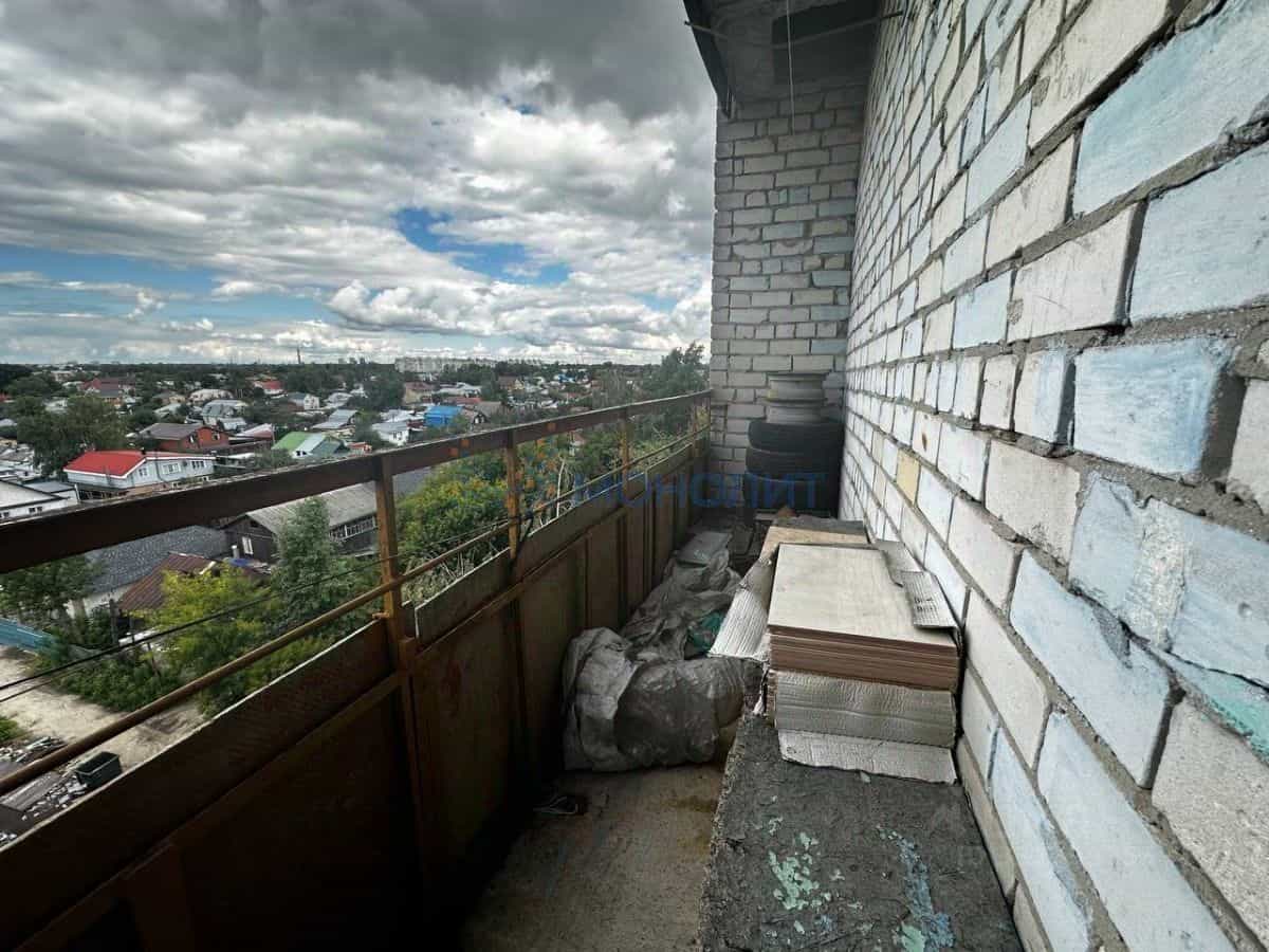 Россия, Нижний Новгород, Снежная улица, 25к4, фото 12