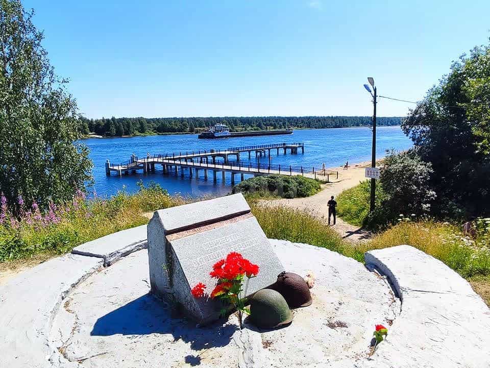 Россия, Ленинградская область, Всеволожский район, Дубровское городское поселение, городской посёлок Невская Дубровка, улица Томилина, 3, фото 20