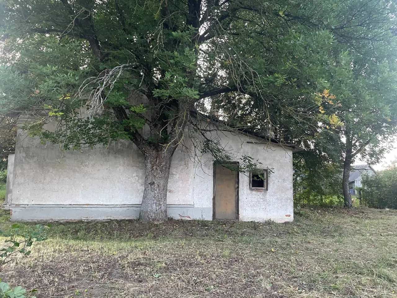 Беларусь, Гродненская область, Кореличский район, Мирский сельсовет, деревня Озерско, 16, фото 7