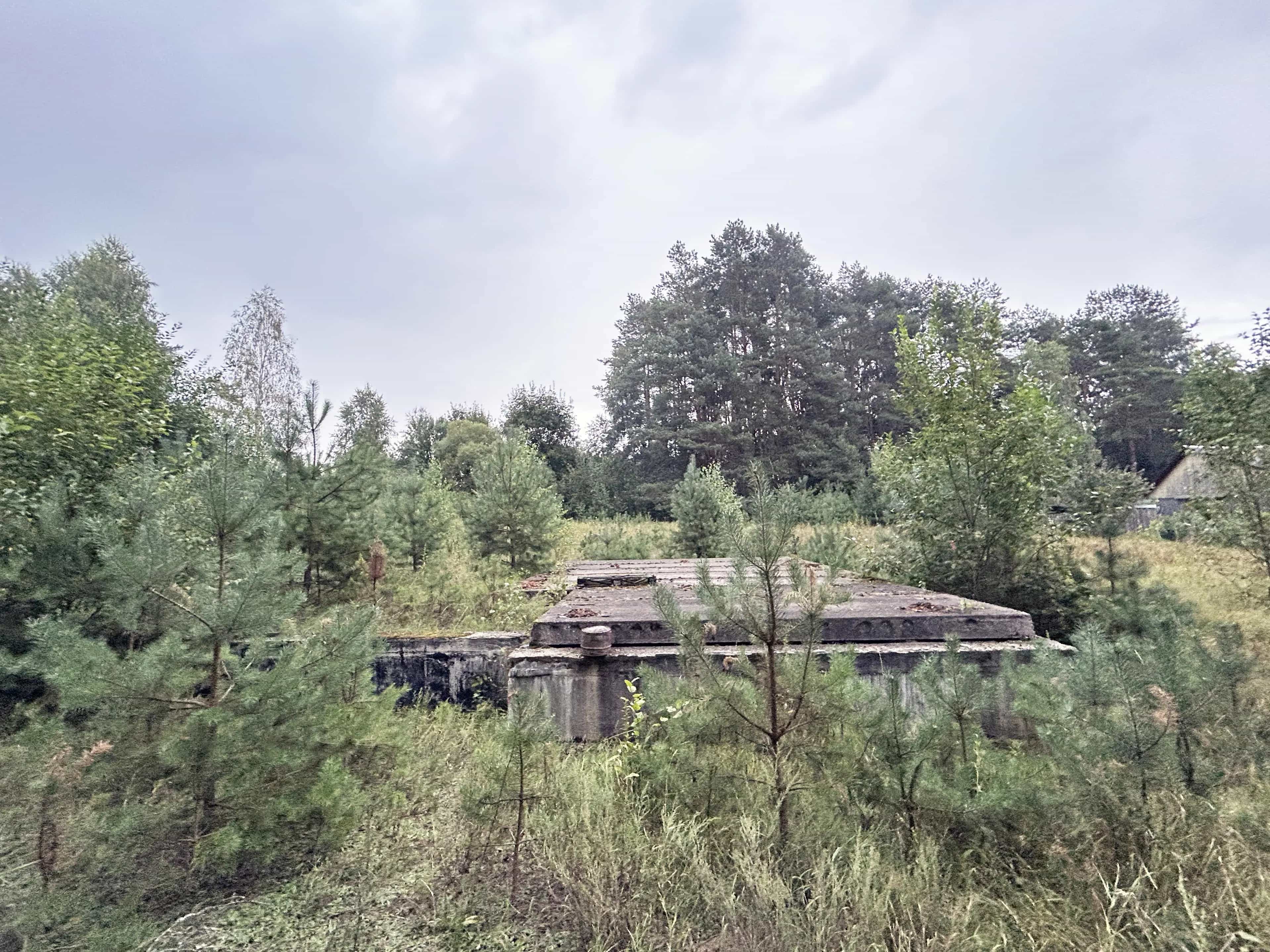 Беларусь, Гродненский район, агрогородок Поречье, улица Розы Люксембург, 6, фото 3