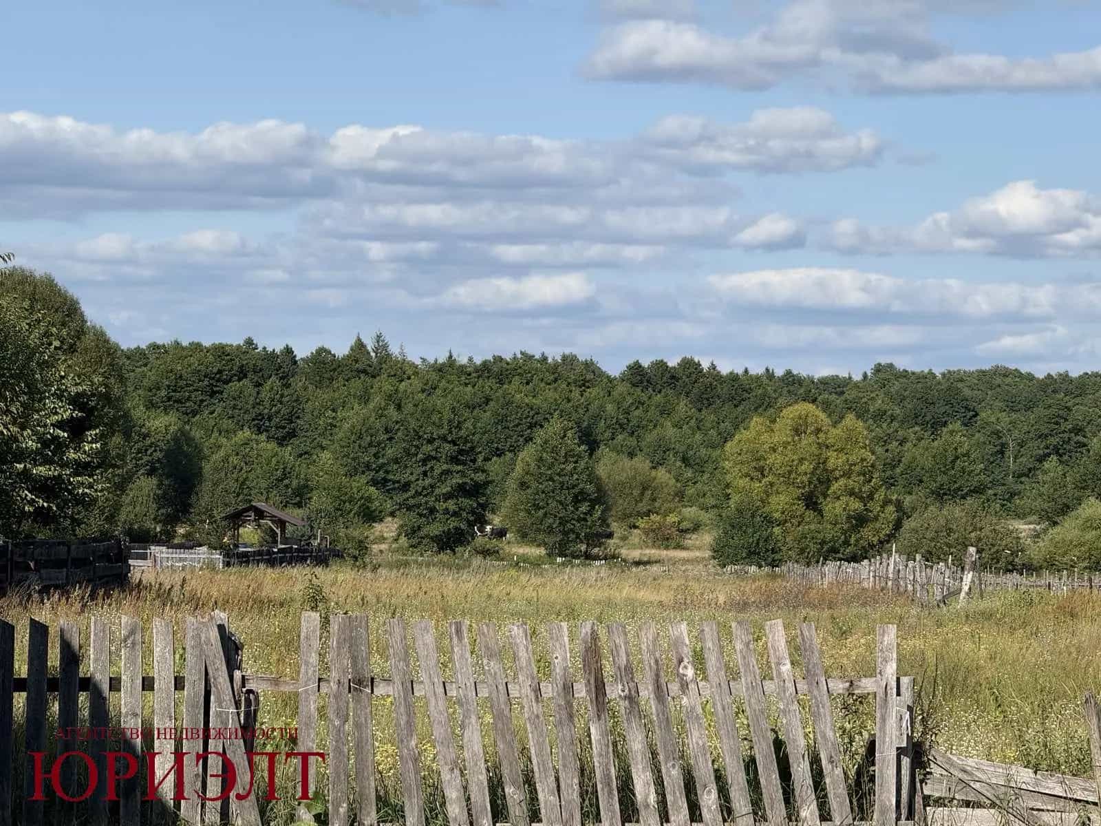 Беларусь, Брестская область, агрогородок Каменюки, Пущанская улица, 11, фото 3