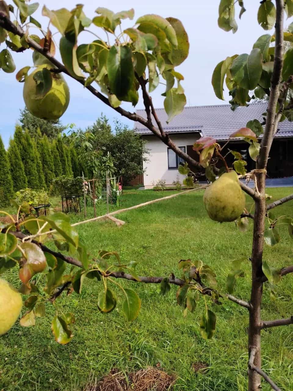 Беларусь, Минская область, Воложинский район, Першайский сельсовет, деревня Маньковщина, Молодёжная улица, 48Б, фото 5