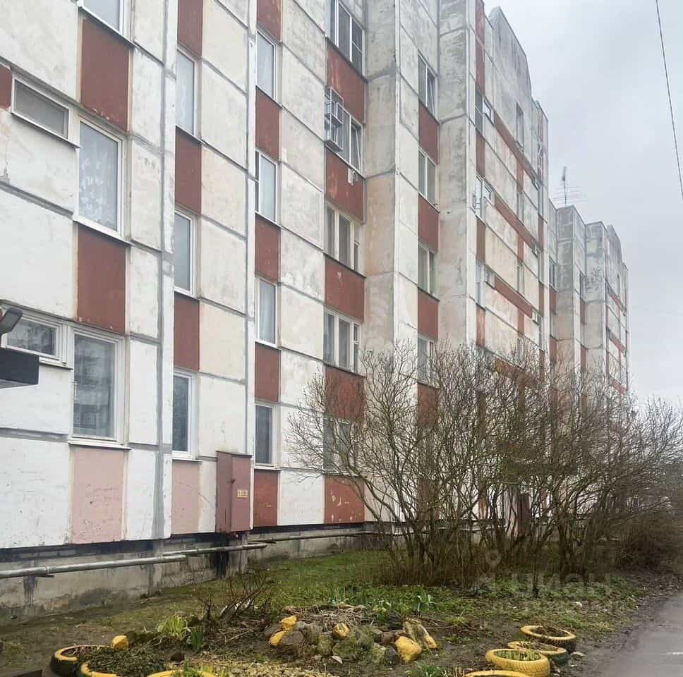 Россия, Ленинградская область, Ломоносовский район, Русско-Высоцкое сельское поселение, село Русско-Высоцкое, 23, фото 12