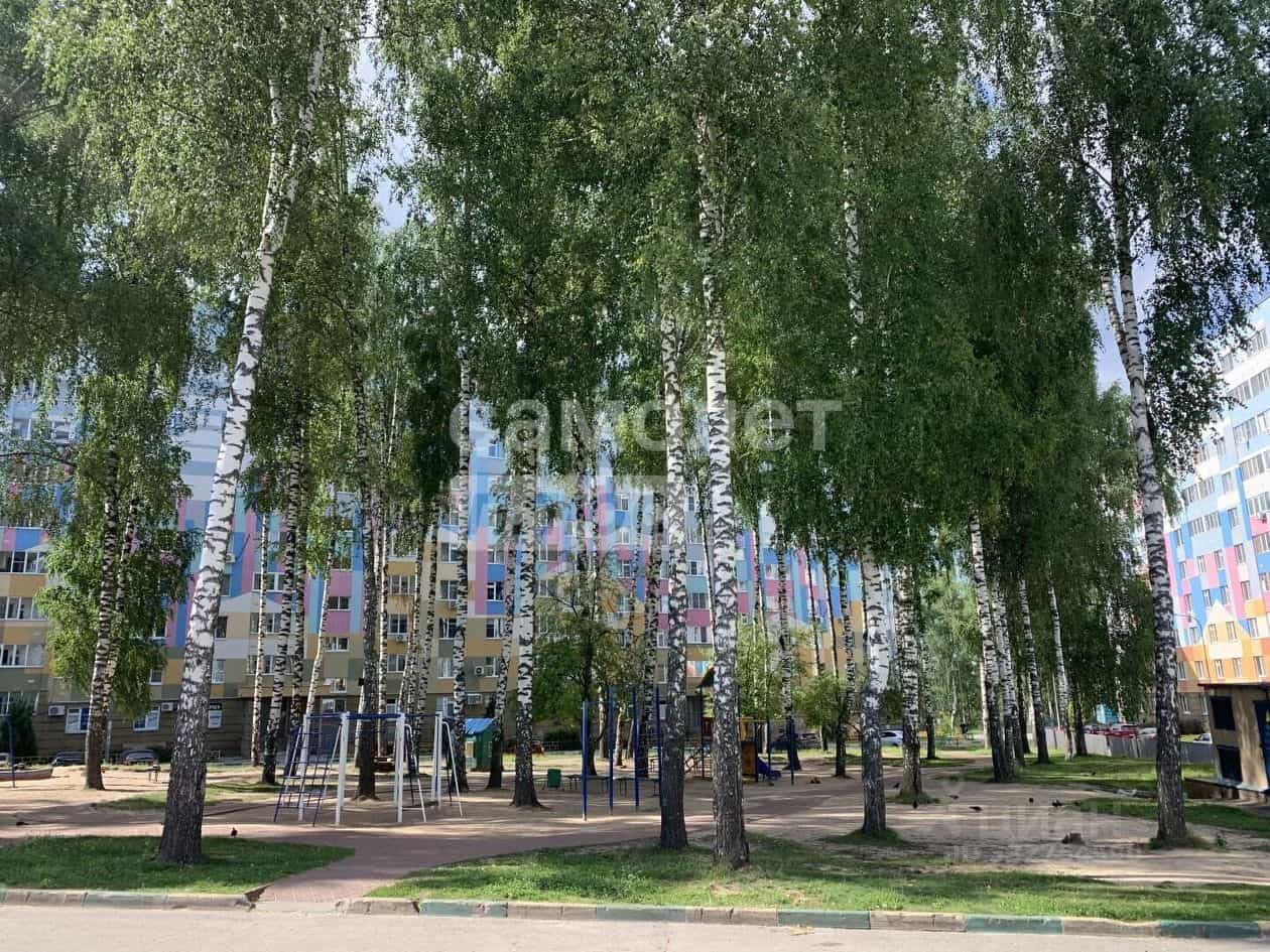 Россия, Нижний Новгород, улица 40 лет Победы, 21, фото 25