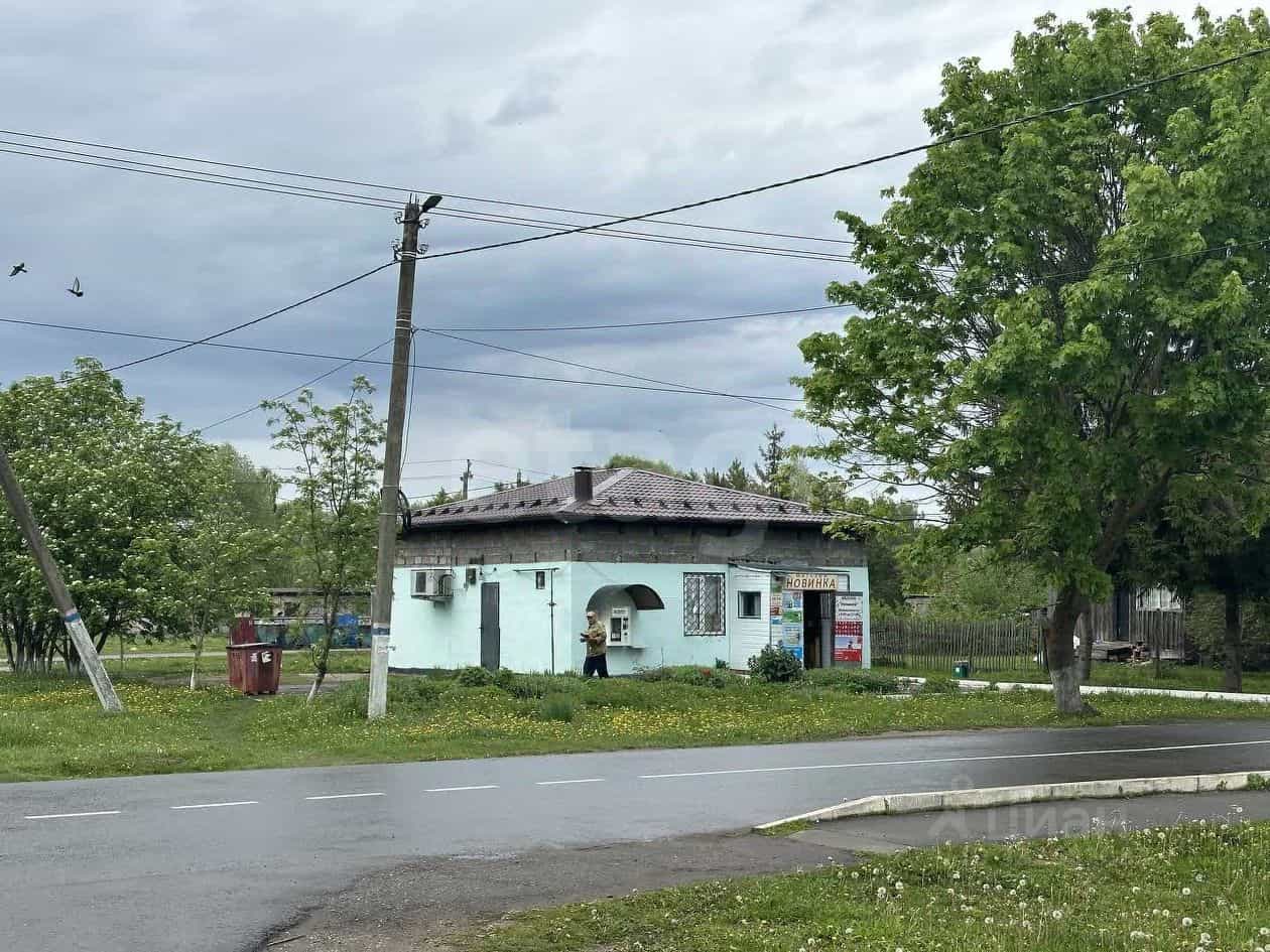 Россия, Орловская область, село Знаменское, улица Мира, 3, фото 19