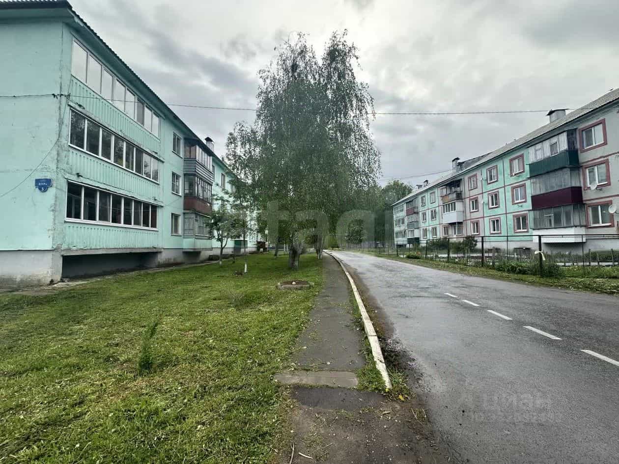 Россия, Орловская область, село Знаменское, улица Мира, 3, фото 20