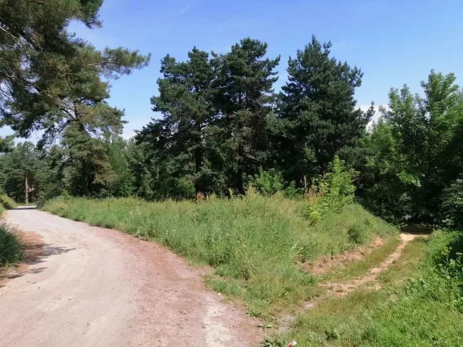 Беларусь, Гомельская область, Жлобин, Днепровская улица, 1Б, фото 8