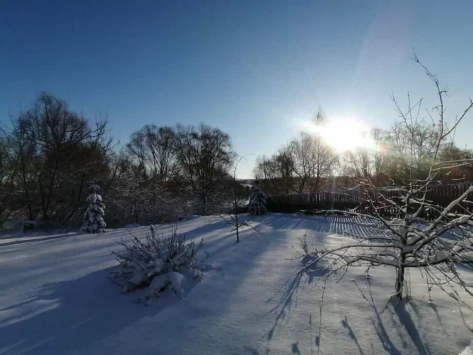 Беларусь, Гомельская область, Жлобин, Днепровская улица, 1Б, фото 13