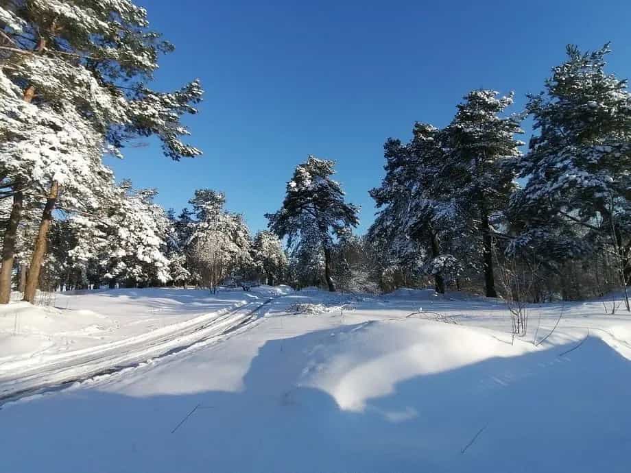 Беларусь, Гомельская область, Жлобин, Днепровская улица, 1Б, фото 15