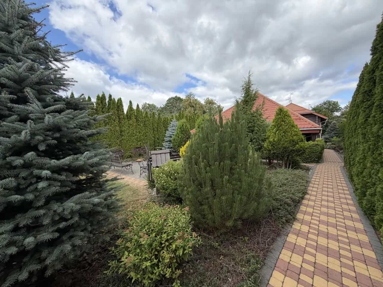 Беларусь, Гродненская область, Мостовский район, Лунненский сельсовет, деревня Миневичи, 24, фото 8