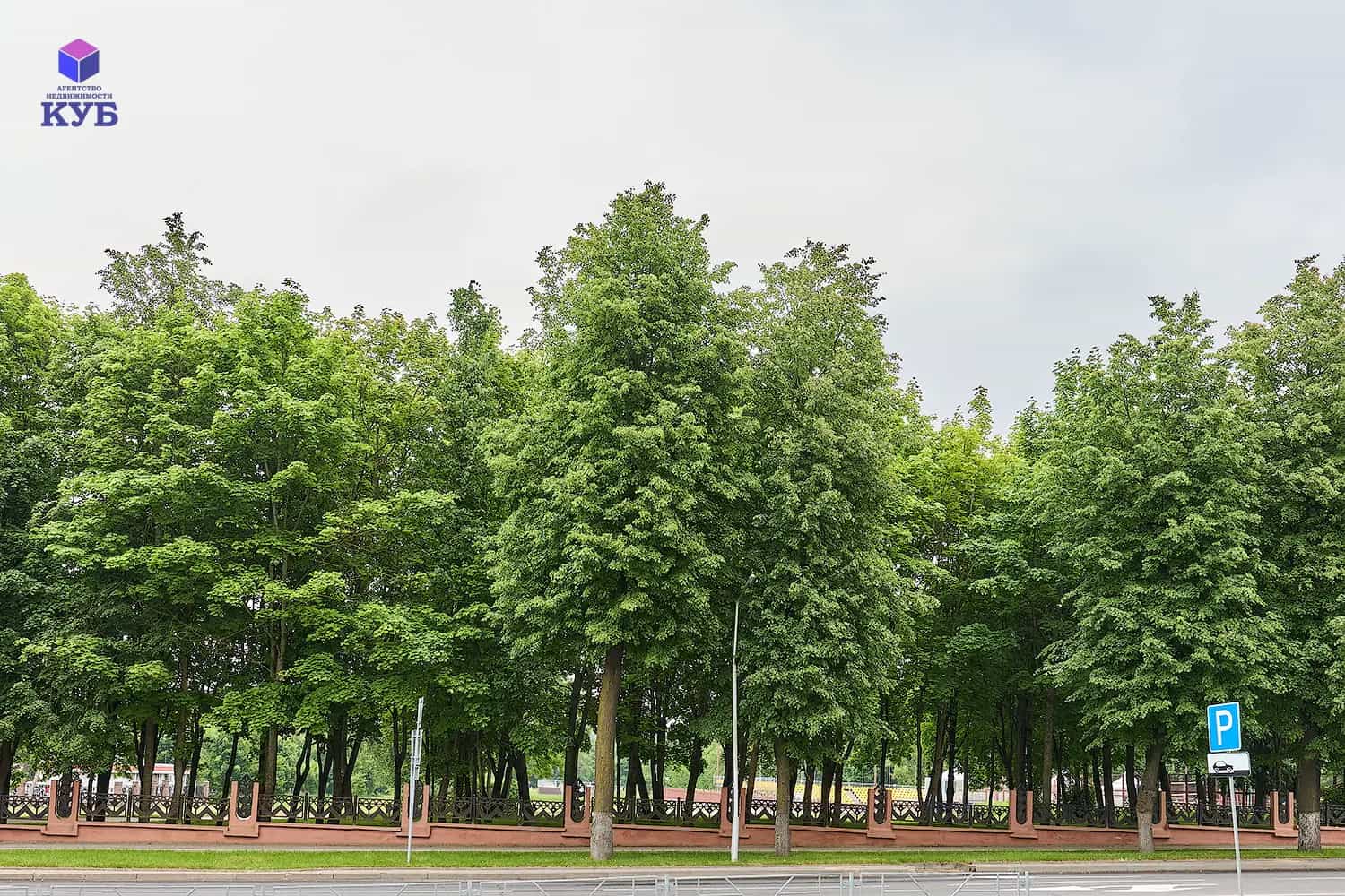 Беларусь, Минская область, Молодечно, улица Франтишка Скорины, 24, фото 29