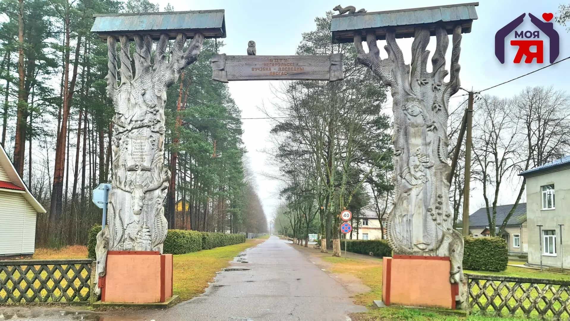 Беларусь, Минская область, Дзержинский район, Негорельский сельсовет, посёлок Городище, Ботаническая улица, 2, фото 31