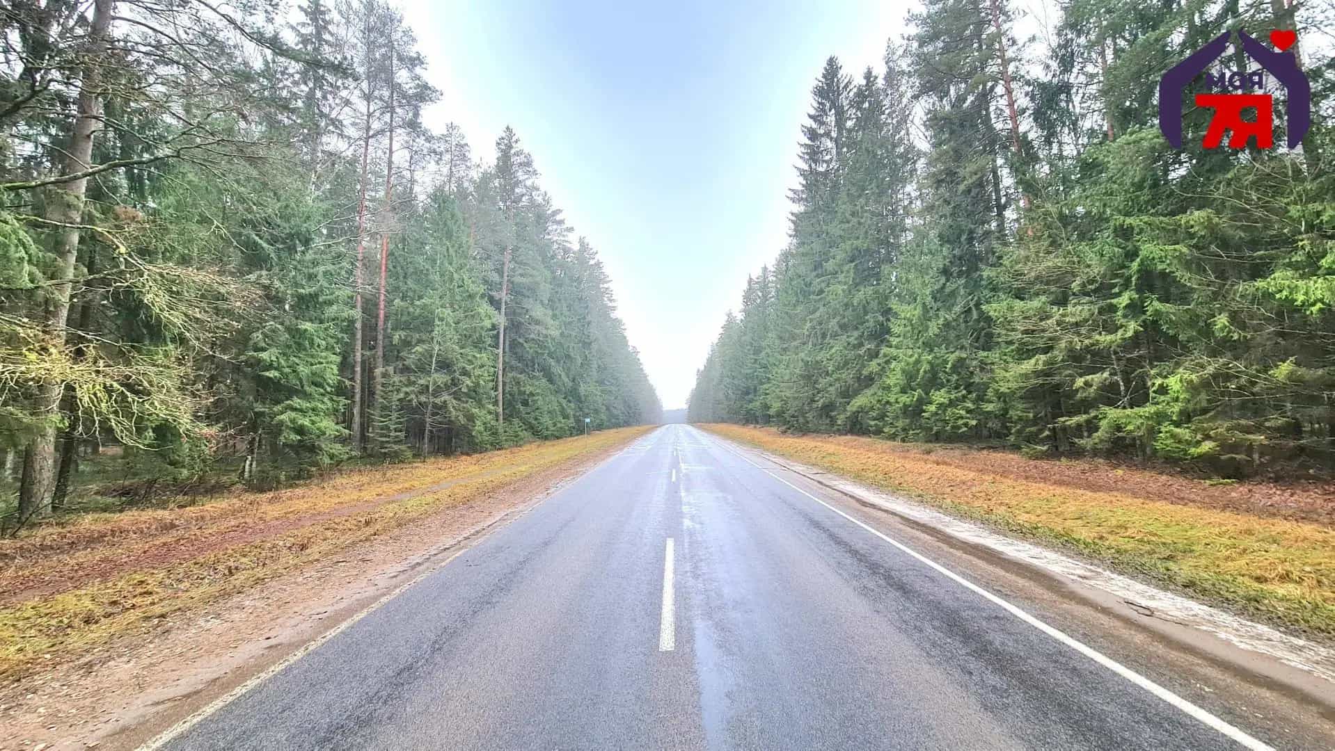 Беларусь, Минская область, Дзержинский район, Негорельский сельсовет, посёлок Городище, Ботаническая улица, 2, фото 35