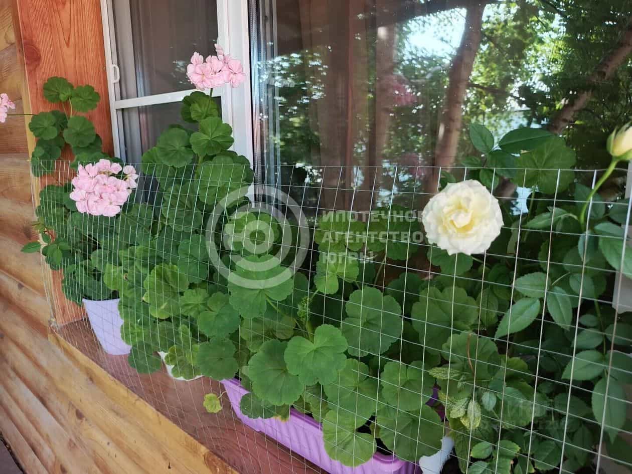 Россия, Ханты-Мансийск, переулок Единства, 2, фото 5