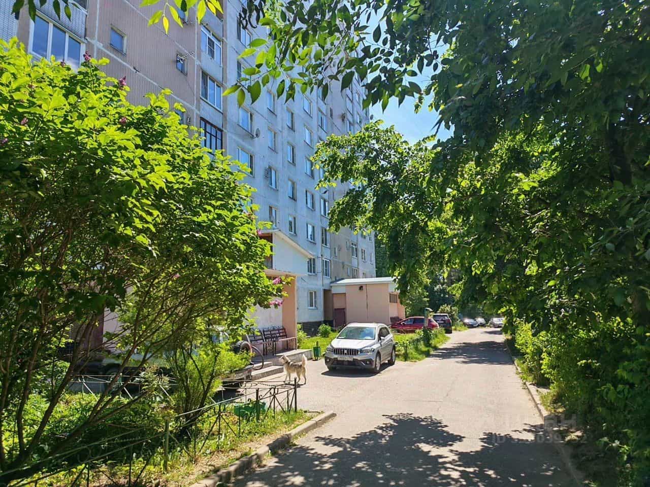 Россия, Московская область, городской округ Лосино-Петровский, посёлок Медное-Власово, 2