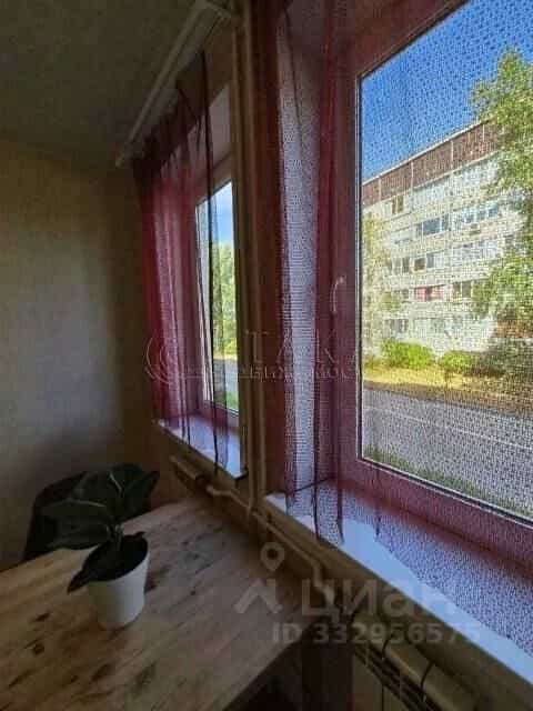 Россия, Ленинградская область, Приозерск, улица Чапаева, 16к6, фото 10