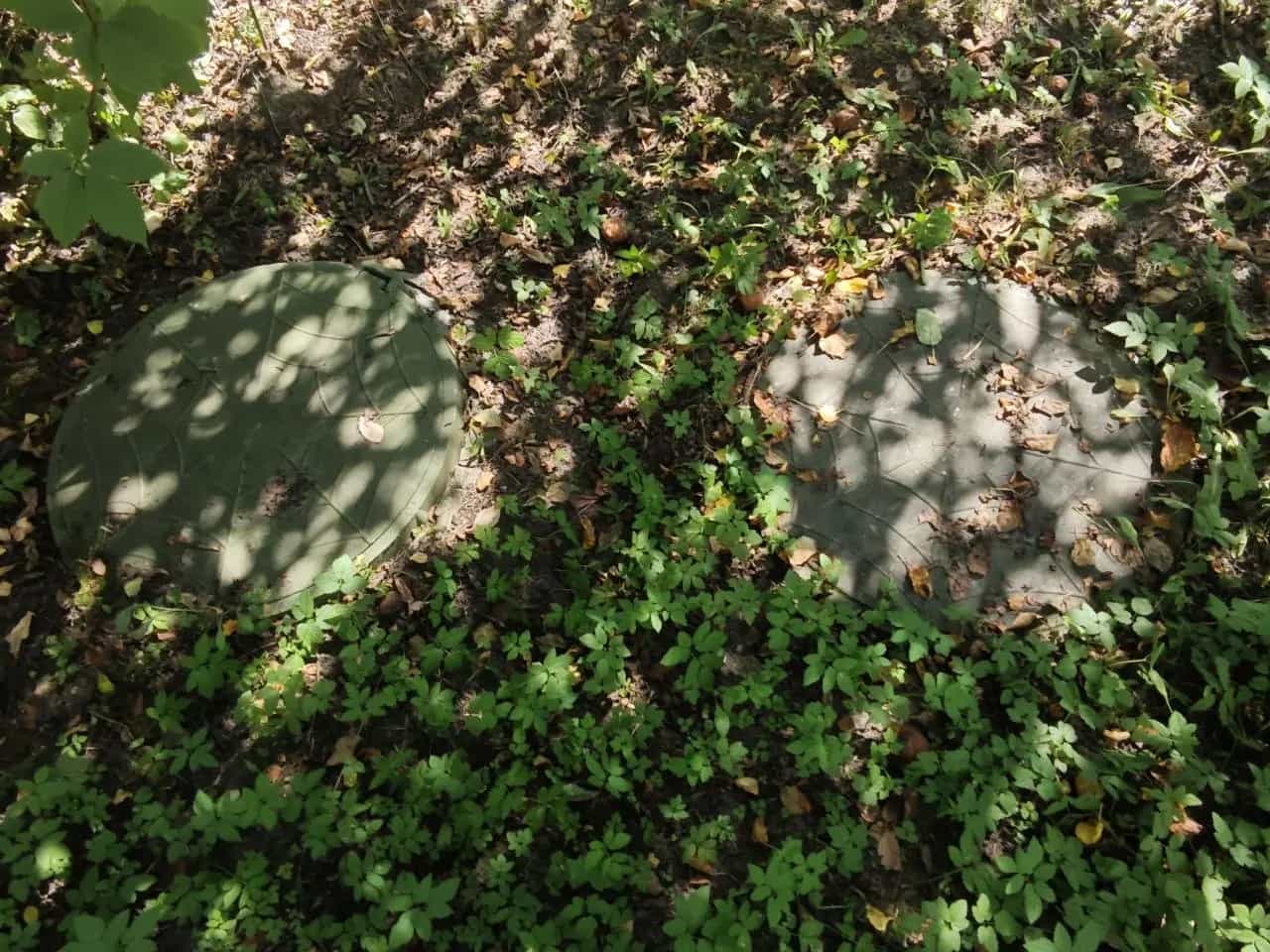Беларусь, Минск, Придорожная улица, 1, фото 12