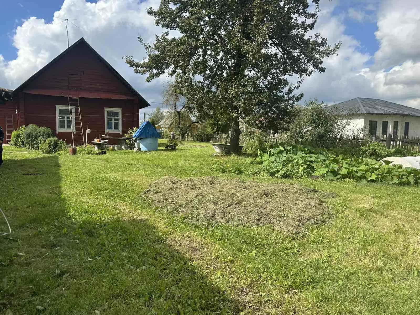 Беларусь, Гродненская область, Сморгонский район, Залесский сельсовет, деревня Михневичи, 55, фото 4