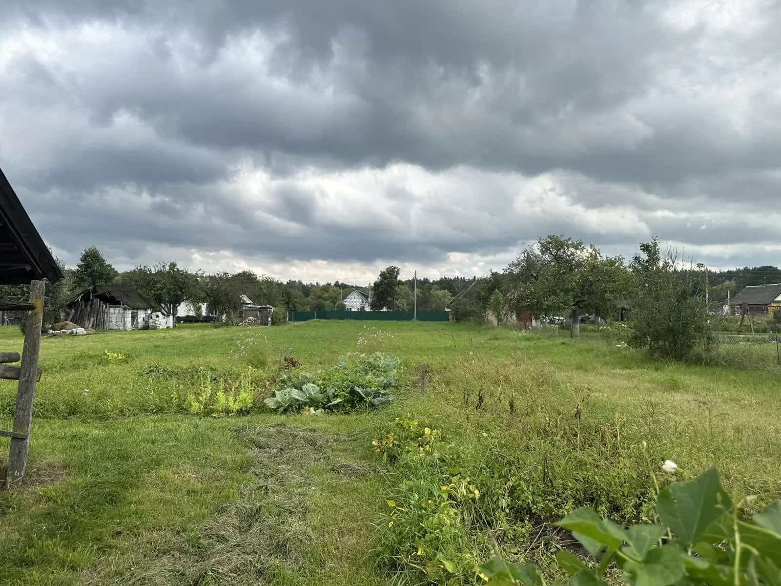 Беларусь, Гродненская область, Сморгонский район, Залесский сельсовет, деревня Михневичи, 55, фото 16
