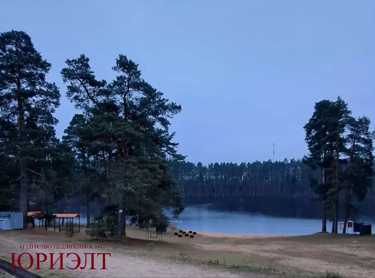 Беларусь, Витебская область, Лепельский район, Боровский сельсовет, деревня Боровка, 19, фото 13