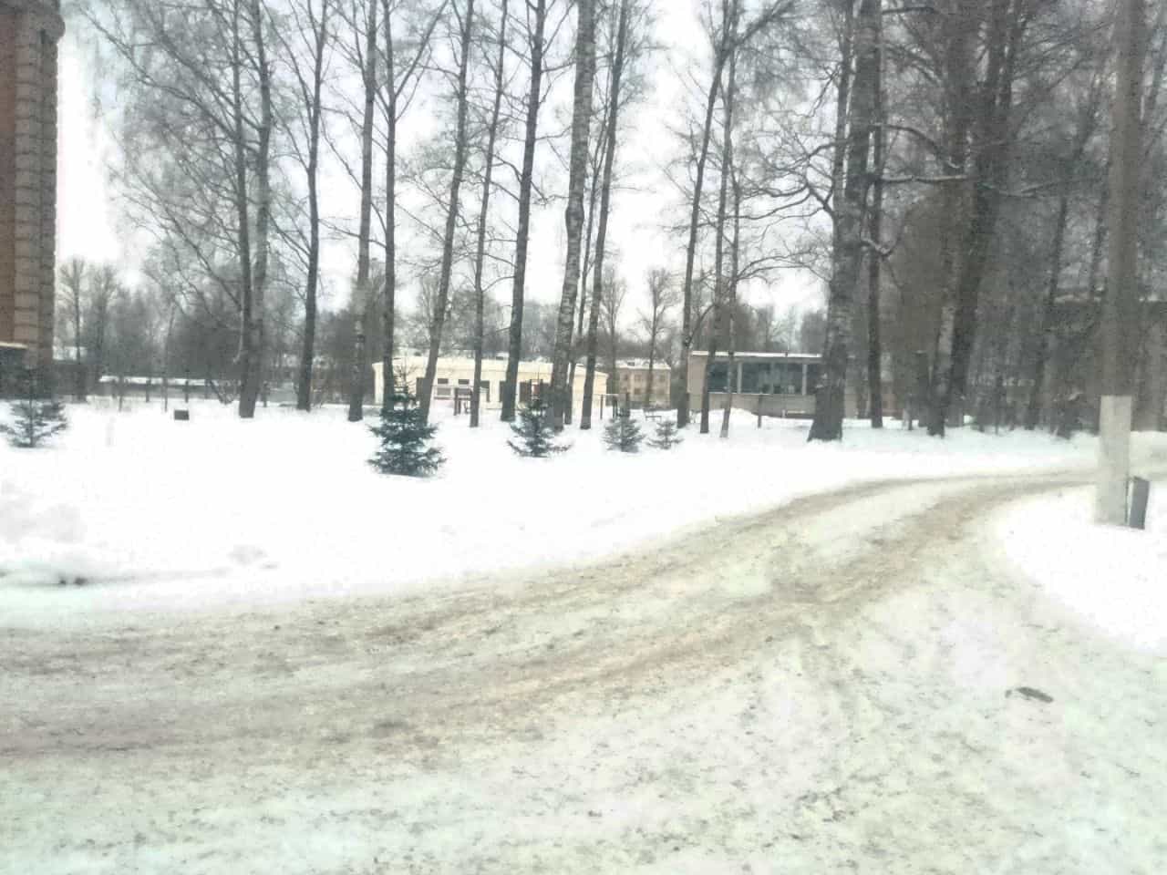 Россия, Псковская область, Остров, улица ДОС, 14, фото 25