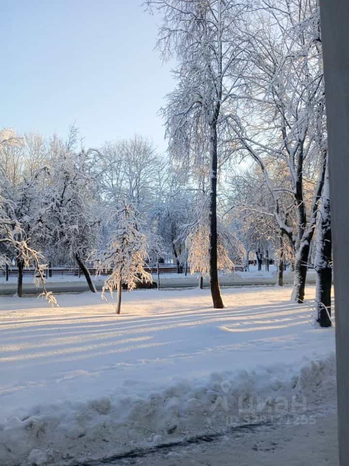 Россия, Великий Новгород, район Софийская сторона, улица Мерецкова-Волосова, 9, фото 19