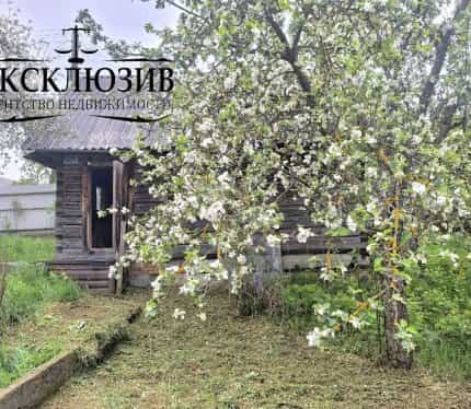 Беларусь, Минская область, Борисов, Луговая улица, 120, фото 21