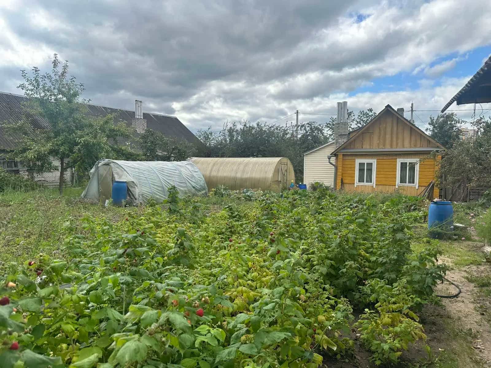 Беларусь, Гродненская область, Сморгонь, Красноармейская улица, 55, фото 3