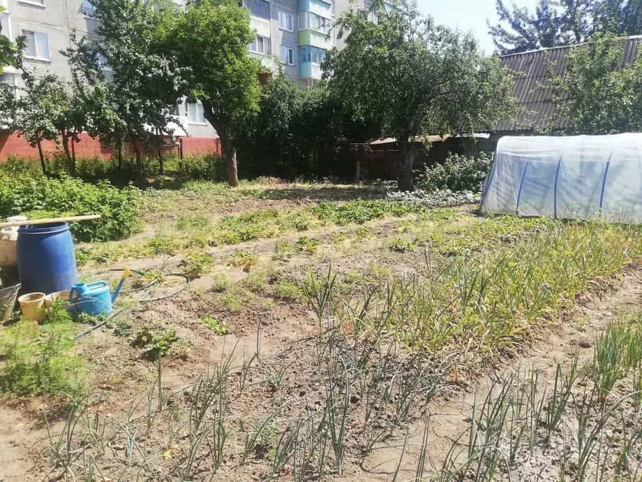 Беларусь, Гродненская область, Сморгонь, Красноармейская улица, 55, фото 16
