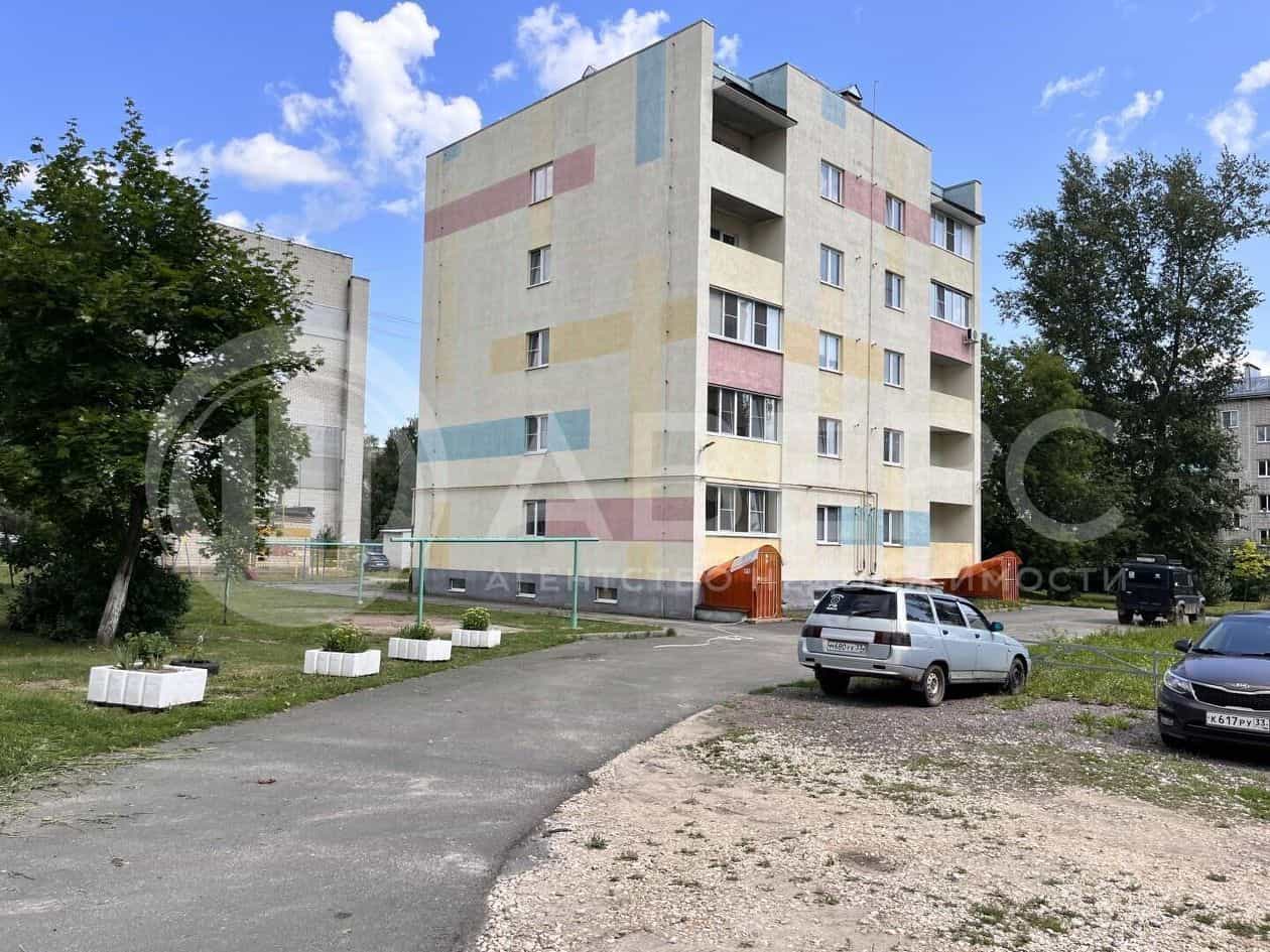 Россия, Владимирская область, Муром, улица Амосова, 52, фото 22