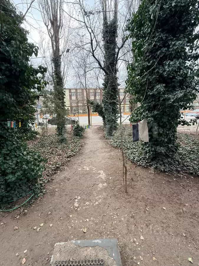 Россия, Республика Дагестан, Махачкала, улица Гагарина, 89, фото 14