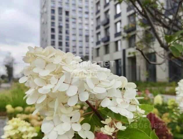 Фото объекта