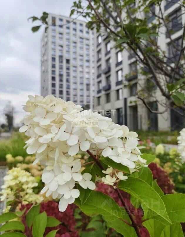 Россия, Омск, улица Б.Г. Шаронова, 9