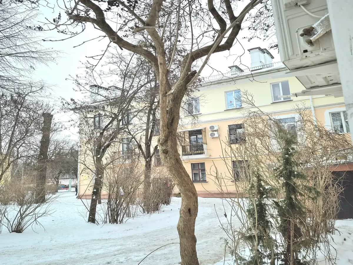 Беларусь, Брест, улица Мицкевича, 19, фото 9