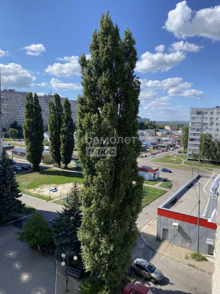 Россия, Курская область, Курчатов, Садовая улица, 15, фото 8