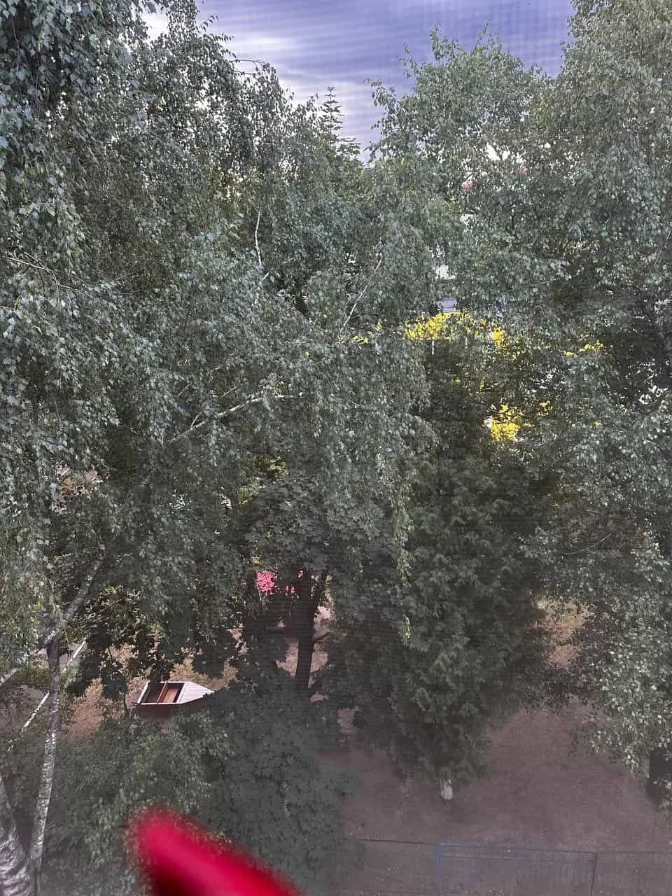 Беларусь, Гомельская область, Жлобин, 1-й микрорайон, 2, фото 18