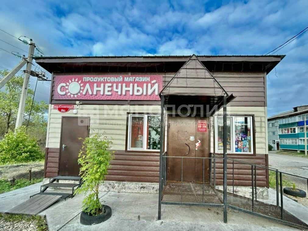 Россия, Амурская область, Белогорский муниципальный округ, село Васильевка, микрорайон Солнечный, 3, фото 22