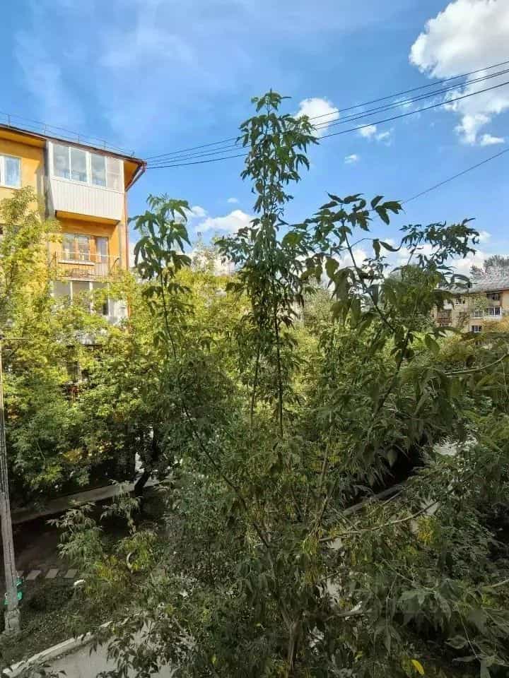 Россия, Свердловская область, Екатеринбург, улица Мира, 7, фото 14