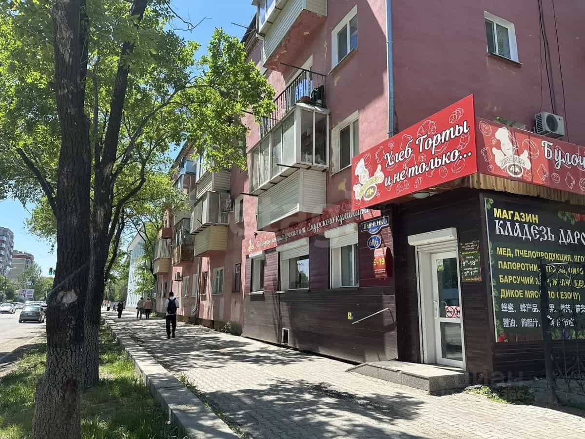 Россия, Амурская область, Благовещенск, улица Шевченко, 60/2