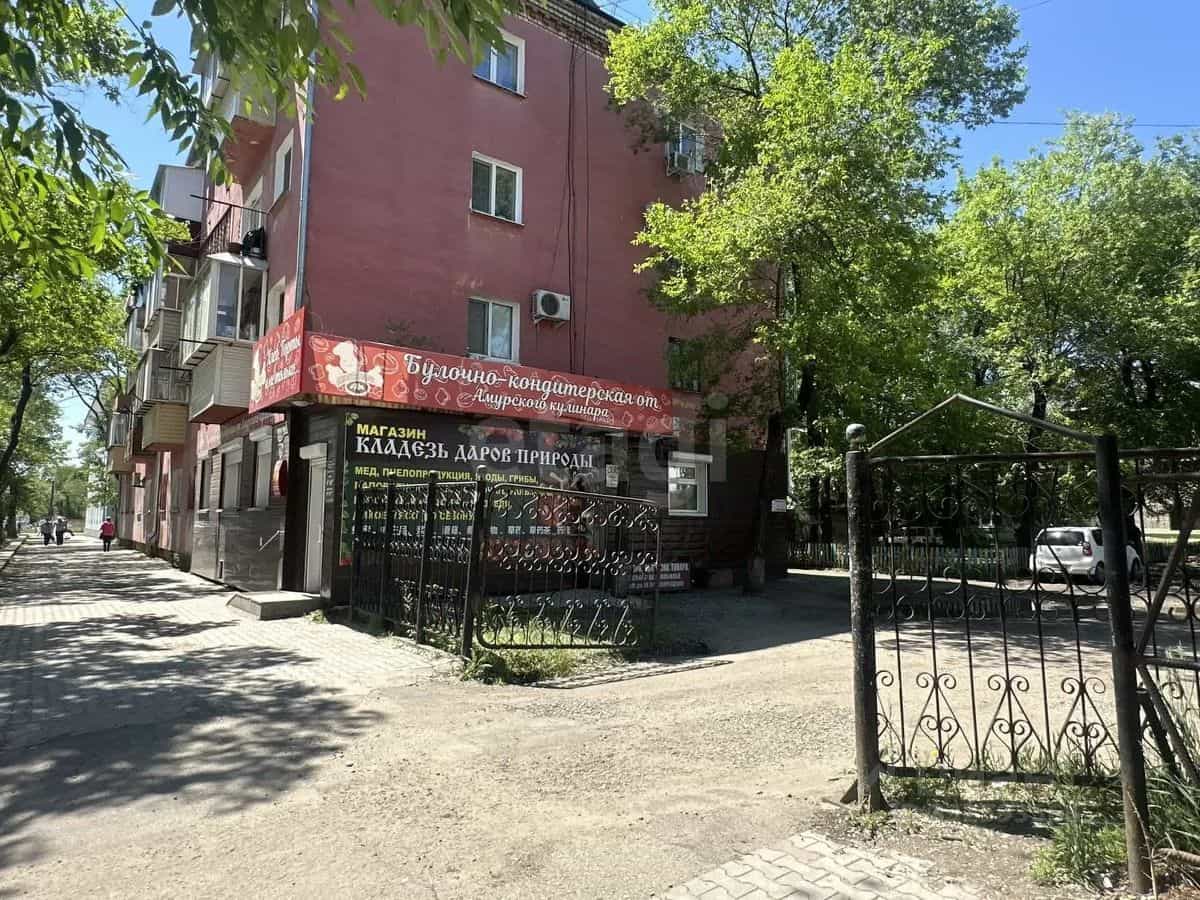 Россия, Амурская область, Благовещенск, улица Шевченко, 60/2, фото 14
