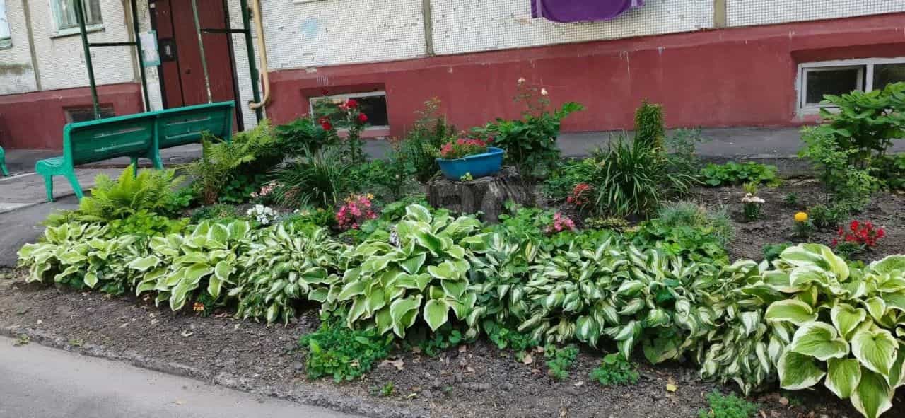 Россия, Брянская область, Карачев, улица Тургенева, 1, фото 10